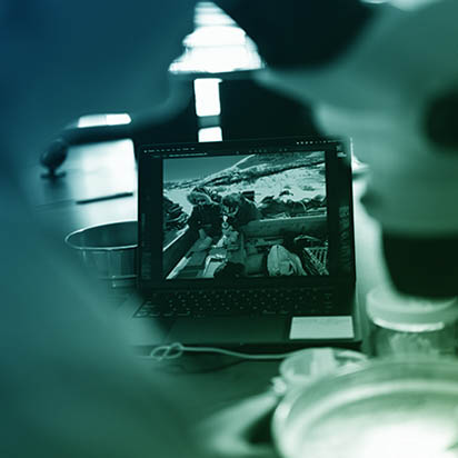 P & T File Examples: Assistant to Associate professor