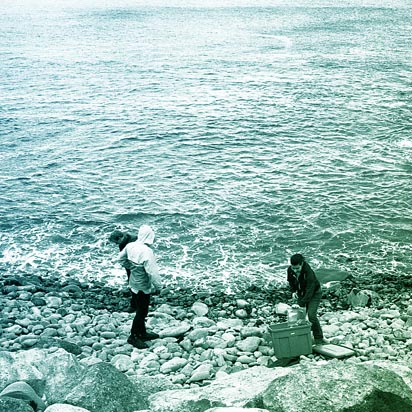 First Year Review Workshop