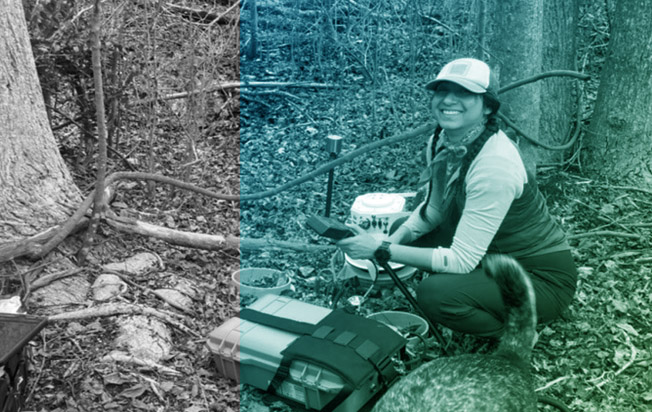 In the news: “A new Dartmouth study examines how to include Indigenous data in environmental research”