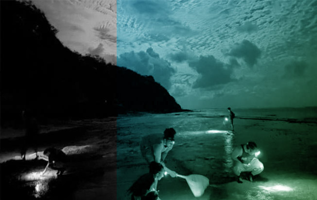 In the news: “Re-calibrating the sail plan for Native Hawaiians, Pacific Islanders in ocean sciences”
