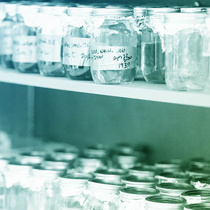 Primer on IDSov Concepts and Terms