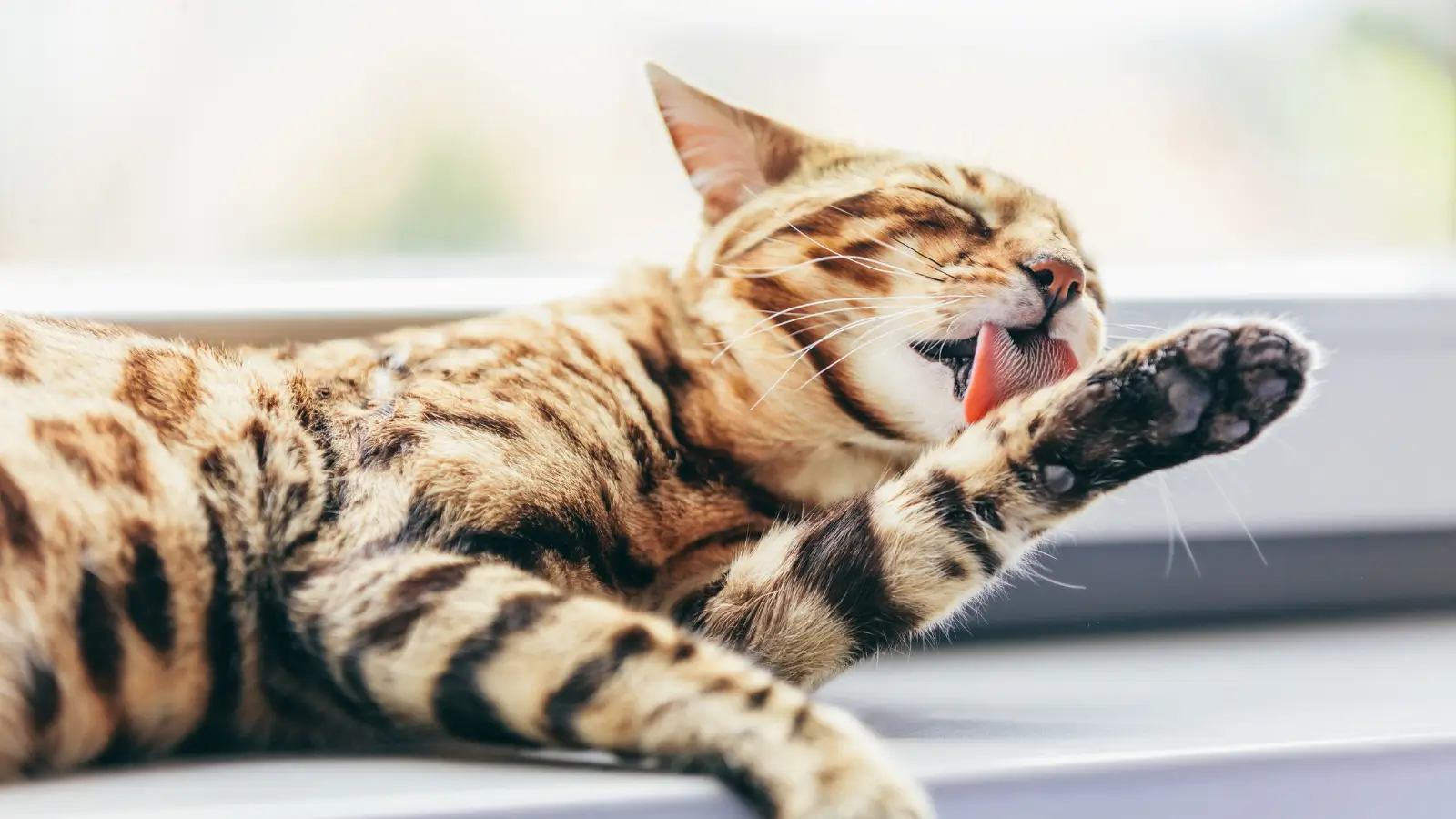 Featured Data Visualization Test 1